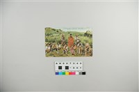 藏品(日治明信片：泰雅族屈尺蕃)的圖片